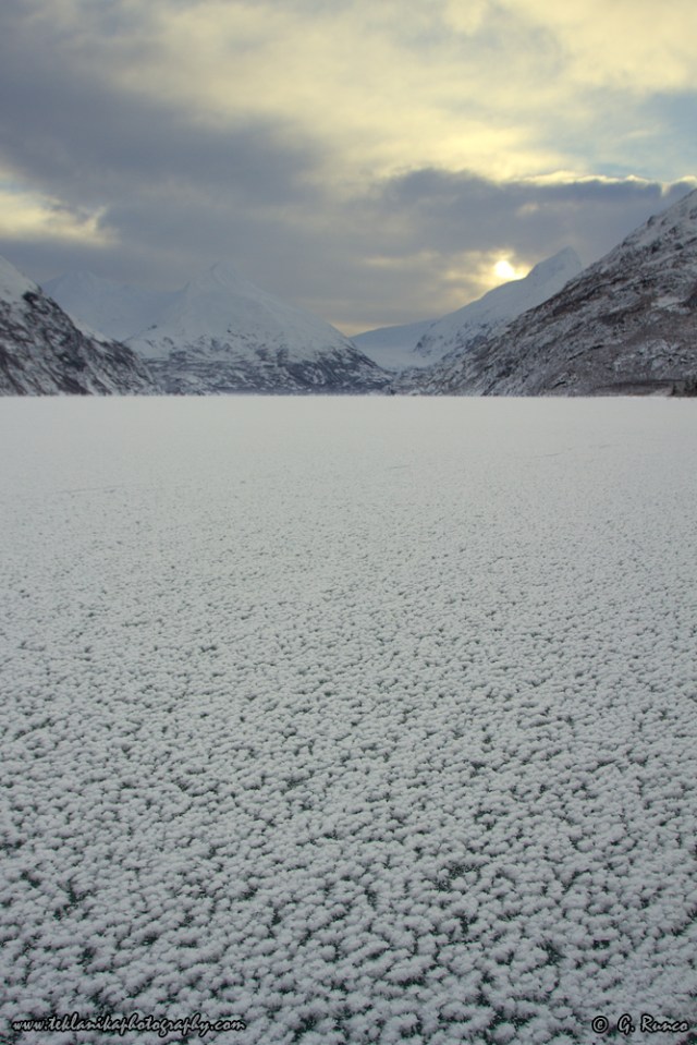 © Teklanika Photography 2015