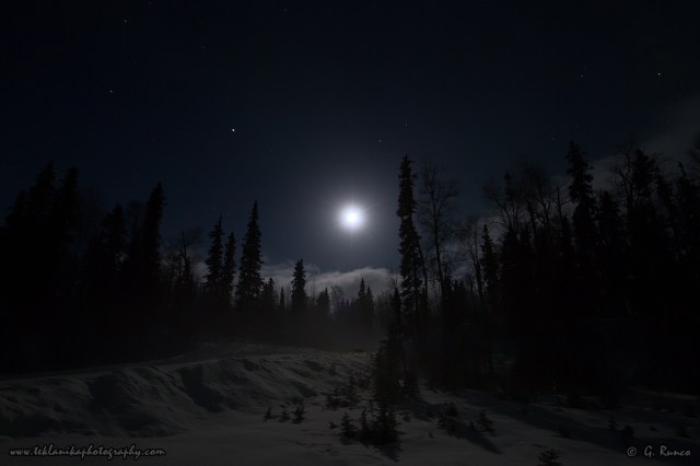 © Teklanika Photography 2015