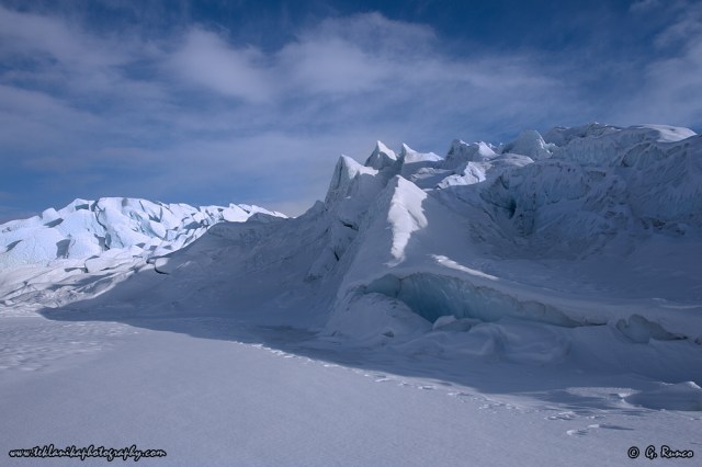 © Teklanika Photography 2015