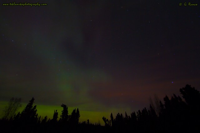 © Teklanika Photography 2015