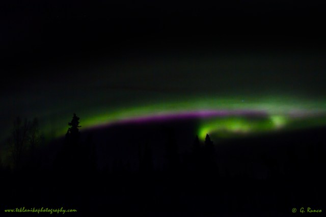 © Teklanika Photography 2015