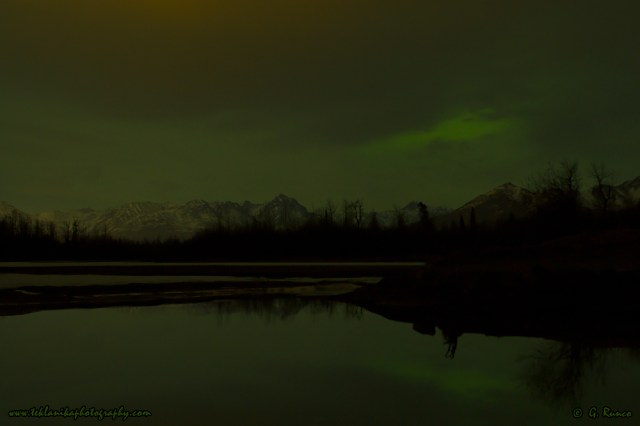 © Teklanika Photography 2015