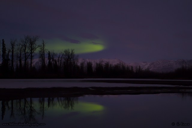 © Teklanika Photography 2015