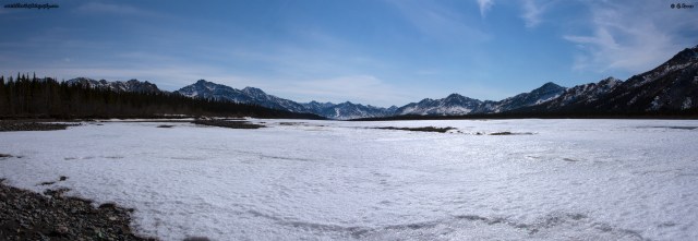 © Teklanika Photography 2015