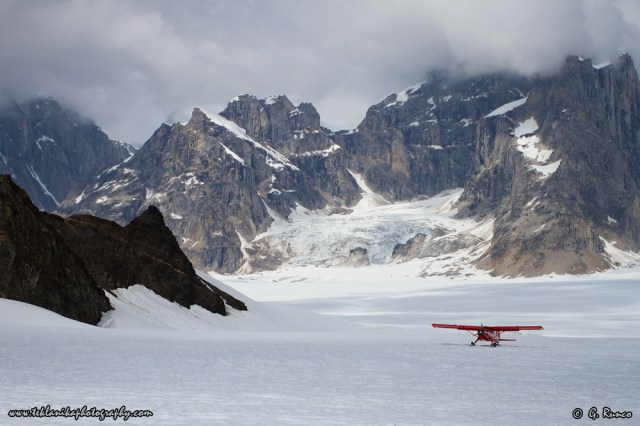 © Teklanika Photography 2015