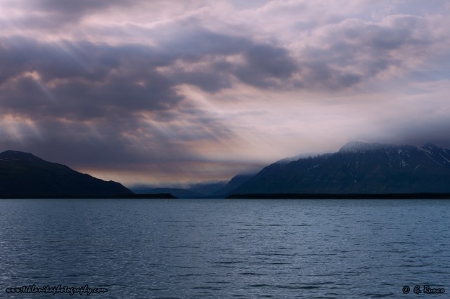 © Teklanika Photography 2015