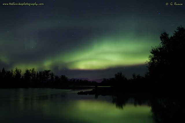 © Teklanika Photography 2015