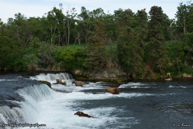 © Teklanika Photography 2015