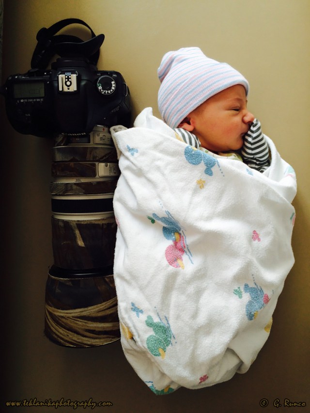 © Teklanika Photography 2015