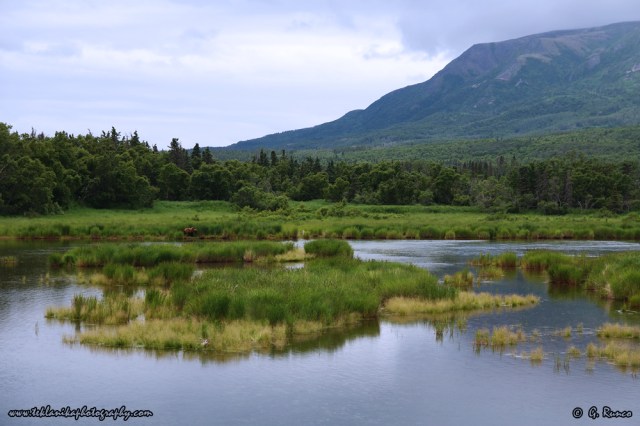 © Teklanika Photography 2015