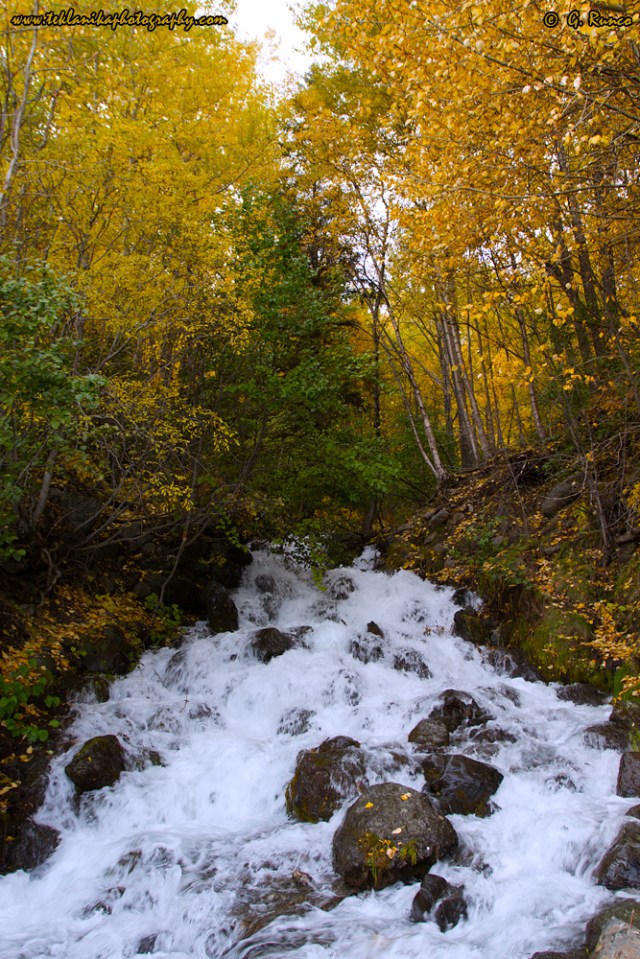 © Teklanika Photography 2015