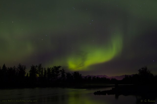 © Teklanika Photography 2015