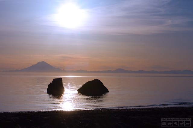 © Teklanika Photography 2016