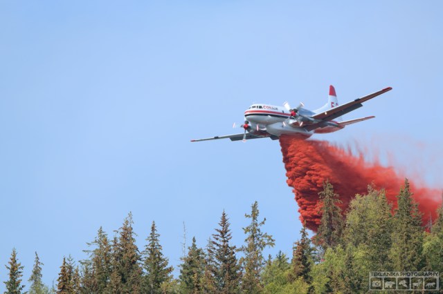 © Teklanika Photography 2016