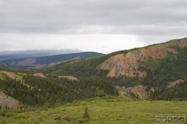 © Teklanika Photography 2016