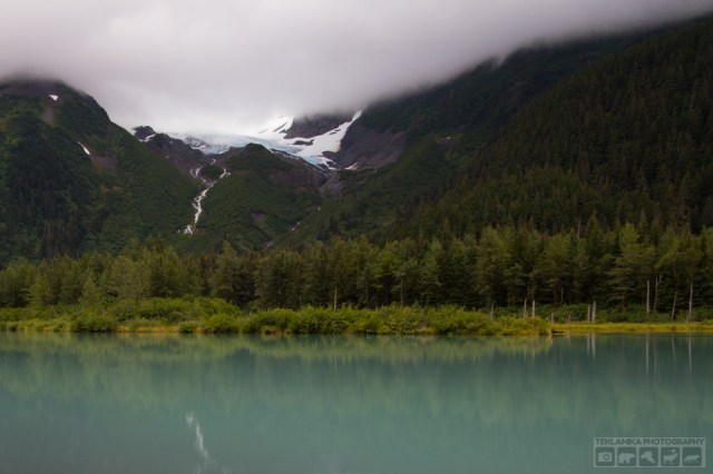 © Teklanika Photography 2016