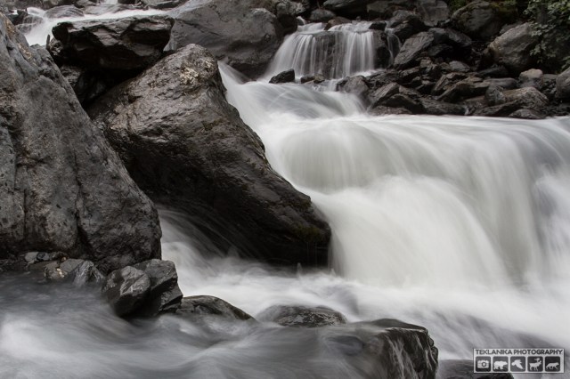 © Teklanika Photography 2016