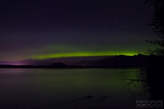 © Teklanika Photography 2016