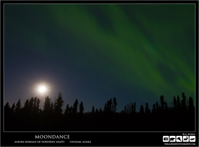 Moondance