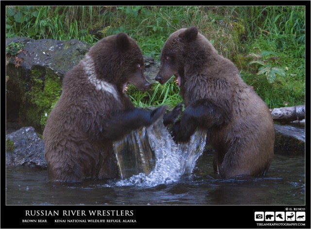 Russian River Wrestlers
