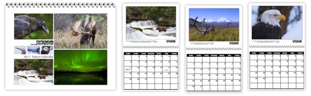 2017_calendar_banner