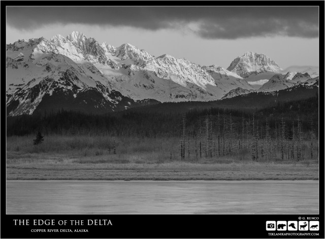 Edge of the Delta